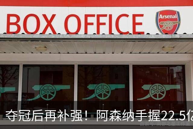 夺冠后再补强！阿森纳手握22.5亿元预算，全力抢罗杰斯与伊尔迪兹